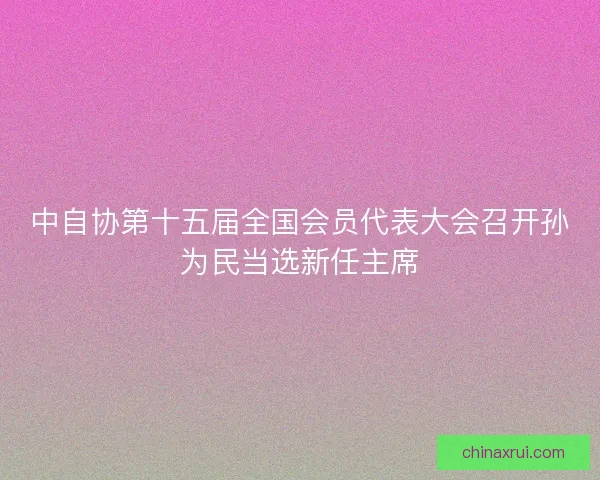 中自协第十五届全国会员代表大会召开孙为民当选新任主席